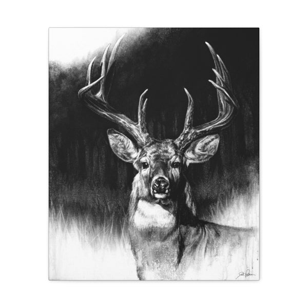 "Whitetail" Gallery Wrapped Canvas