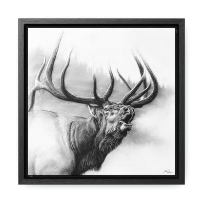 "Rocky Mountain King" Gallery Wrapped/Framed Canvas