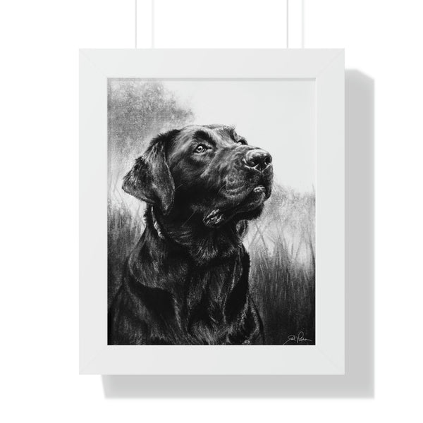 "Labrador" Framed Paper Print