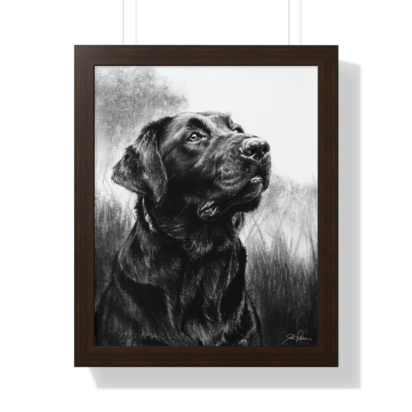 "Labrador" Framed Paper Print