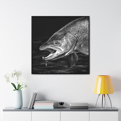 "Brown Trout" Gallery Wrapped/Framed Canvas