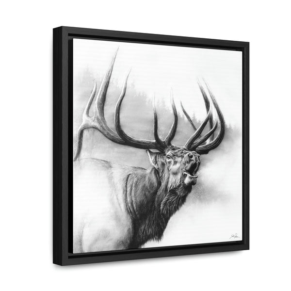 "Rocky Mountain King" Gallery Wrapped/Framed Canvas