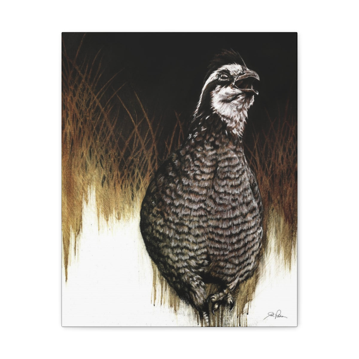 "Call of the Uplands Quail" Gallery Wrapped Canvas