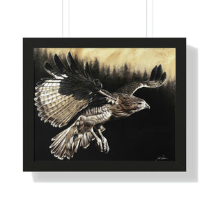 "Red Tailed Hawk" Framed Paper Print