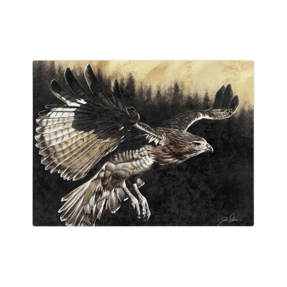 "Red Tailed Hawk" Velveteen Minky Blanket