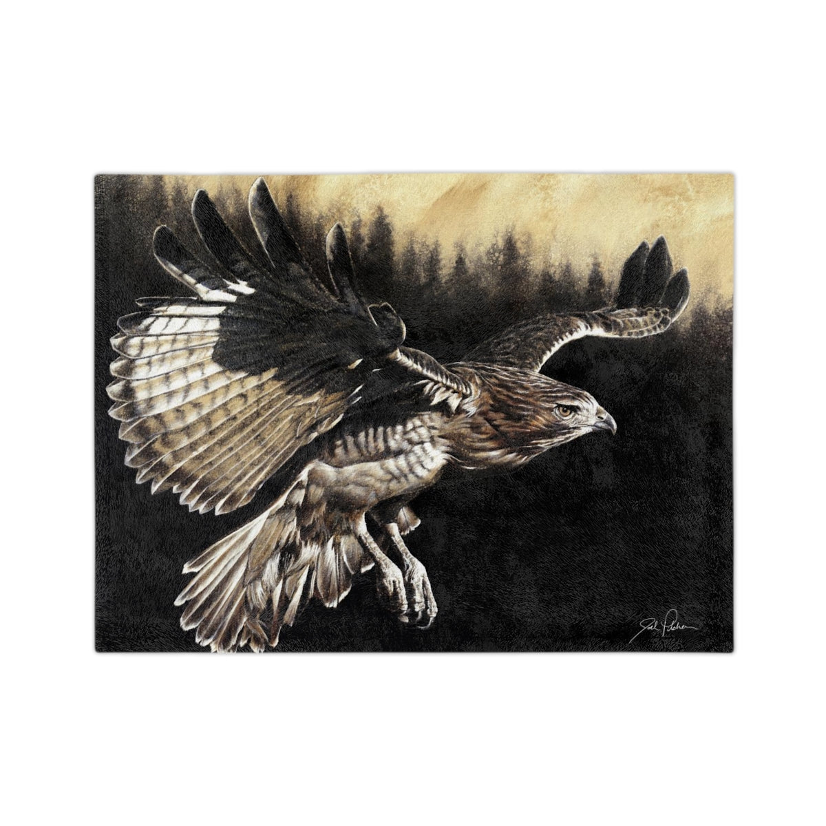 "Red Tailed Hawk" Velveteen Minky Blanket