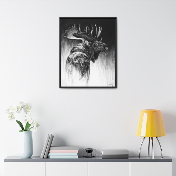 "Bull Moose" Gallery Wrapped/Framed Canvas