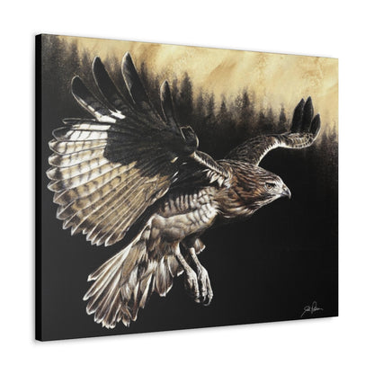 "Red Tailed Hawk" Gallery Wrapped Canvas