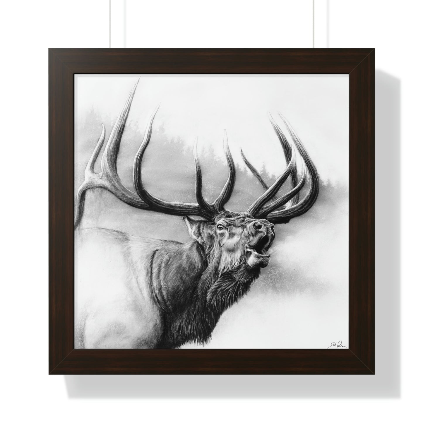 "Rocky Mountain King" Framed Paper Print