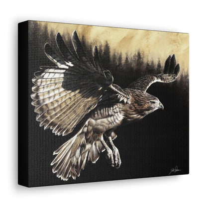 "Red Tailed Hawk" Gallery Wrapped Canvas