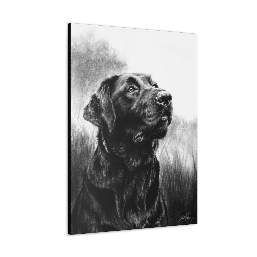 "Labrador Retriever" Gallery Wrapped Canvas