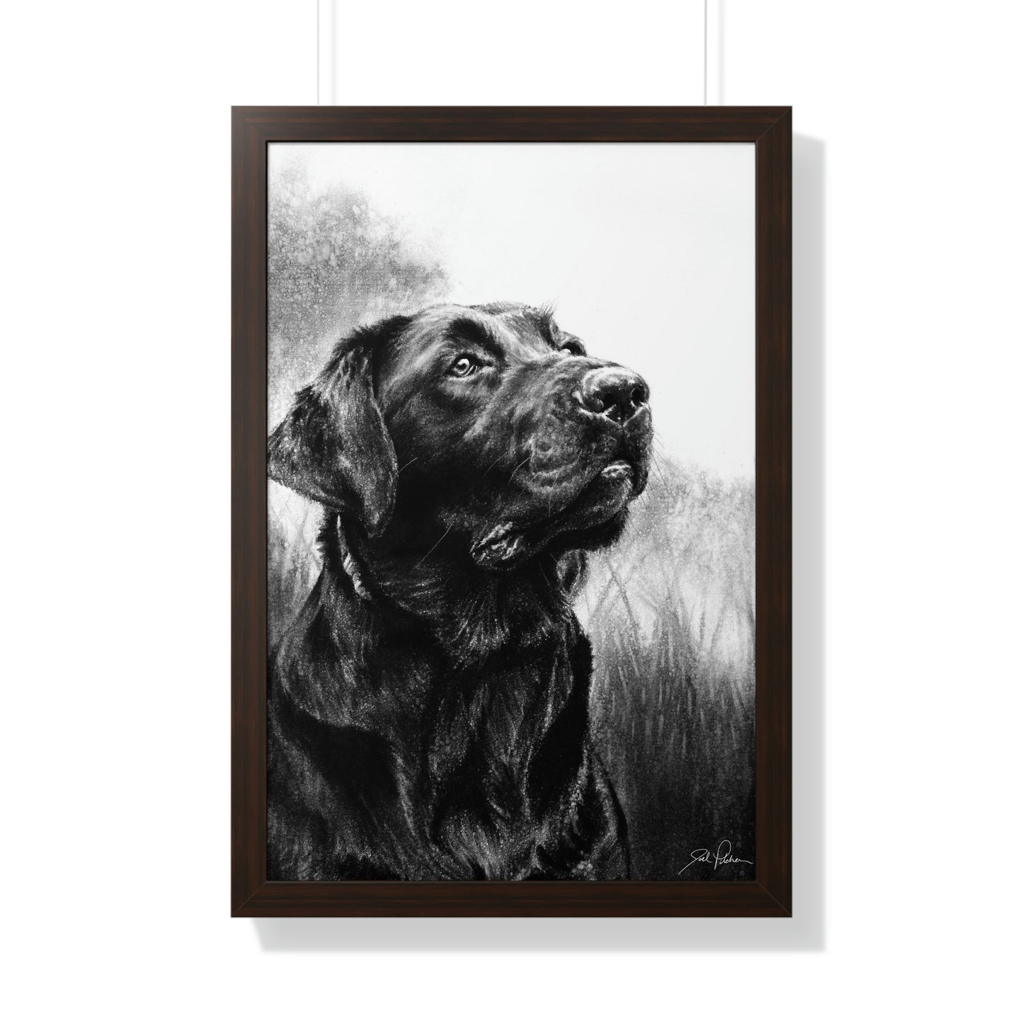 "Labrador" Framed Paper Print