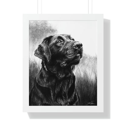 "Labrador" Framed Paper Print