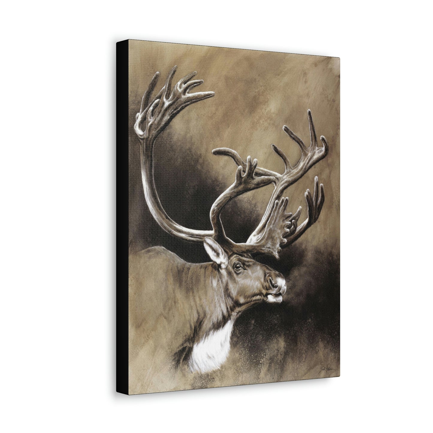 "Caribou" Gallery Wrapped Canvas