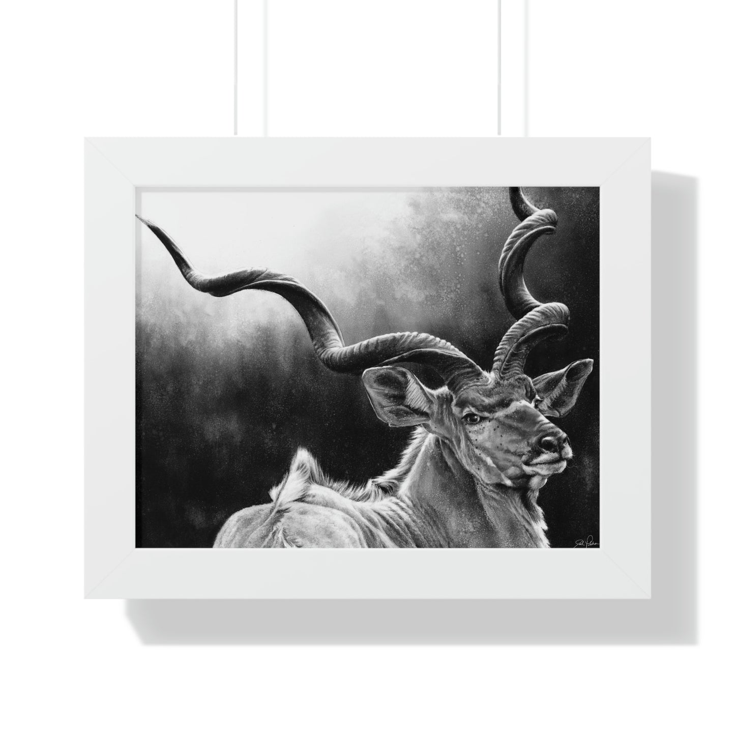 "Kudu" Framed Paper Print