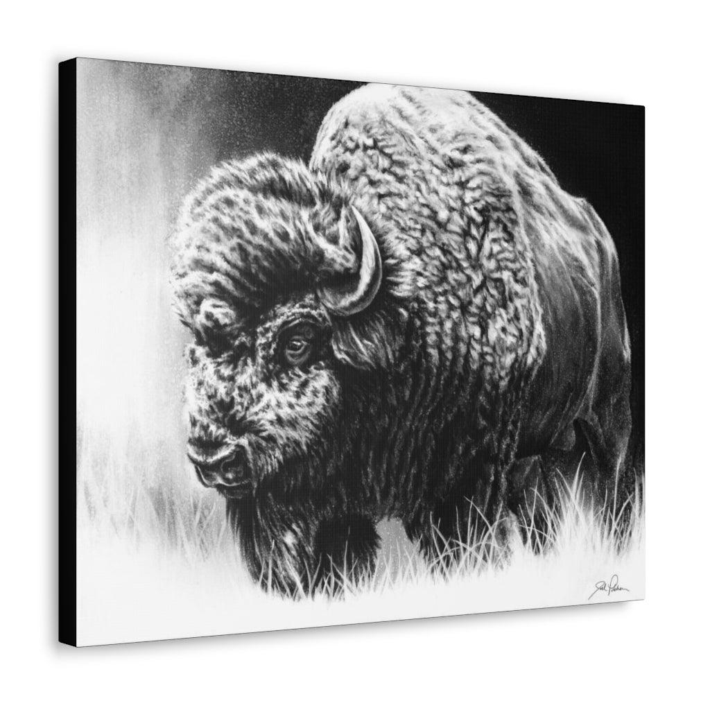 "Bull Dozer" Gallery Wrapped Canvas