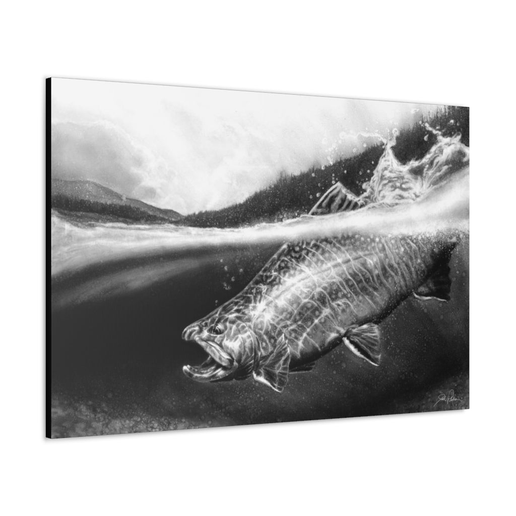 "Brook Trout" Gallery Wrapped Canvas