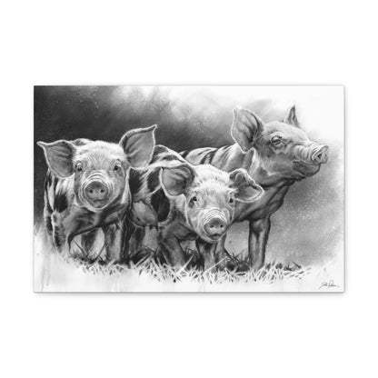 "Pig Tales" Gallery Wrapped Canvas