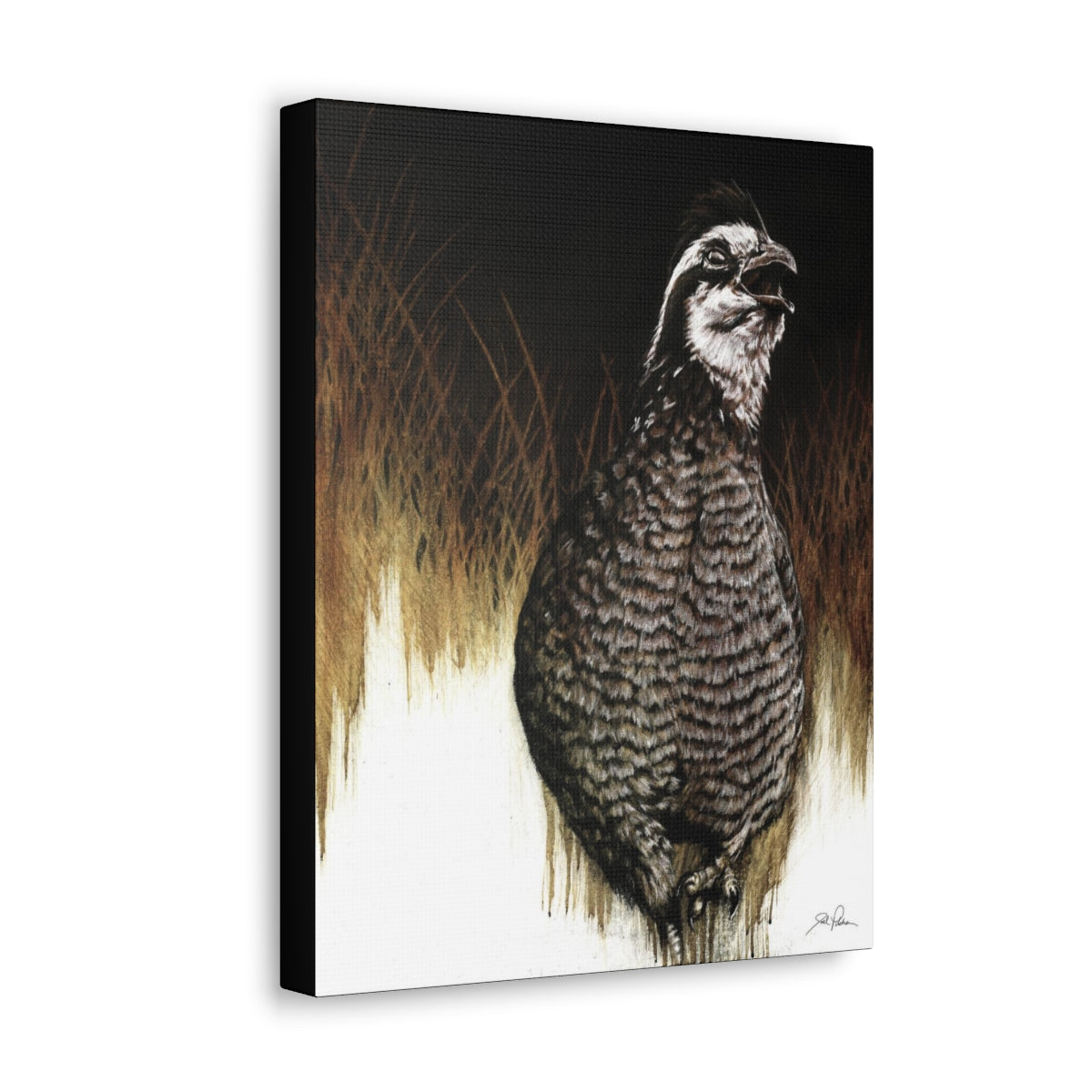 "Call of the Uplands Quail" Gallery Wrapped Canvas