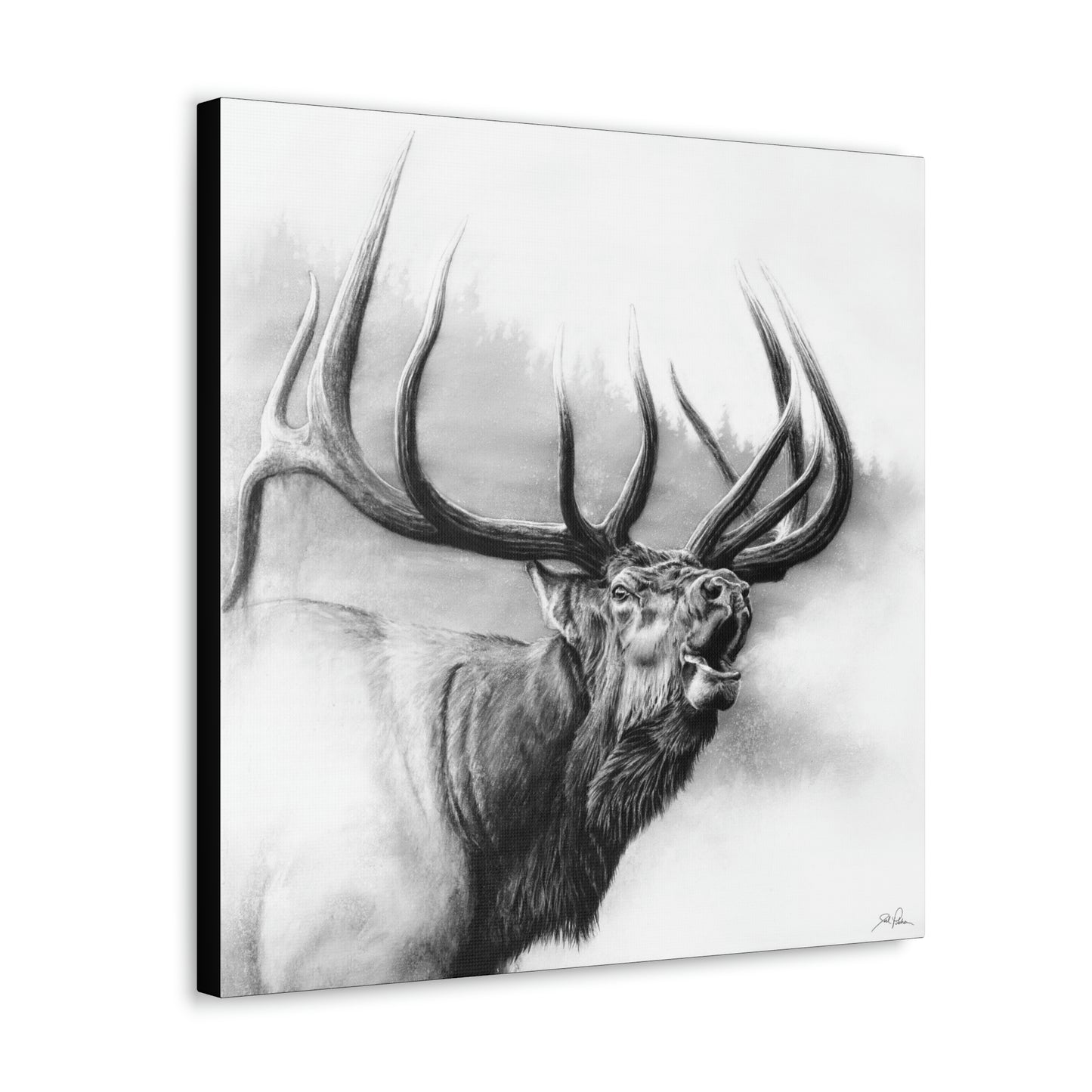 "Rocky Mountain King" Gallery Wrapped Canvas