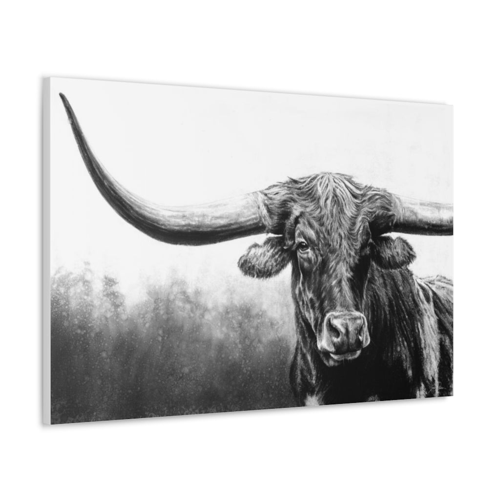 "Longhorn" Gallery Wrapped Canvas