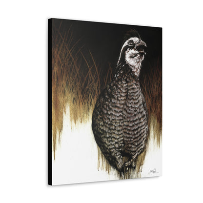 "Call of the Uplands Quail" Gallery Wrapped Canvas