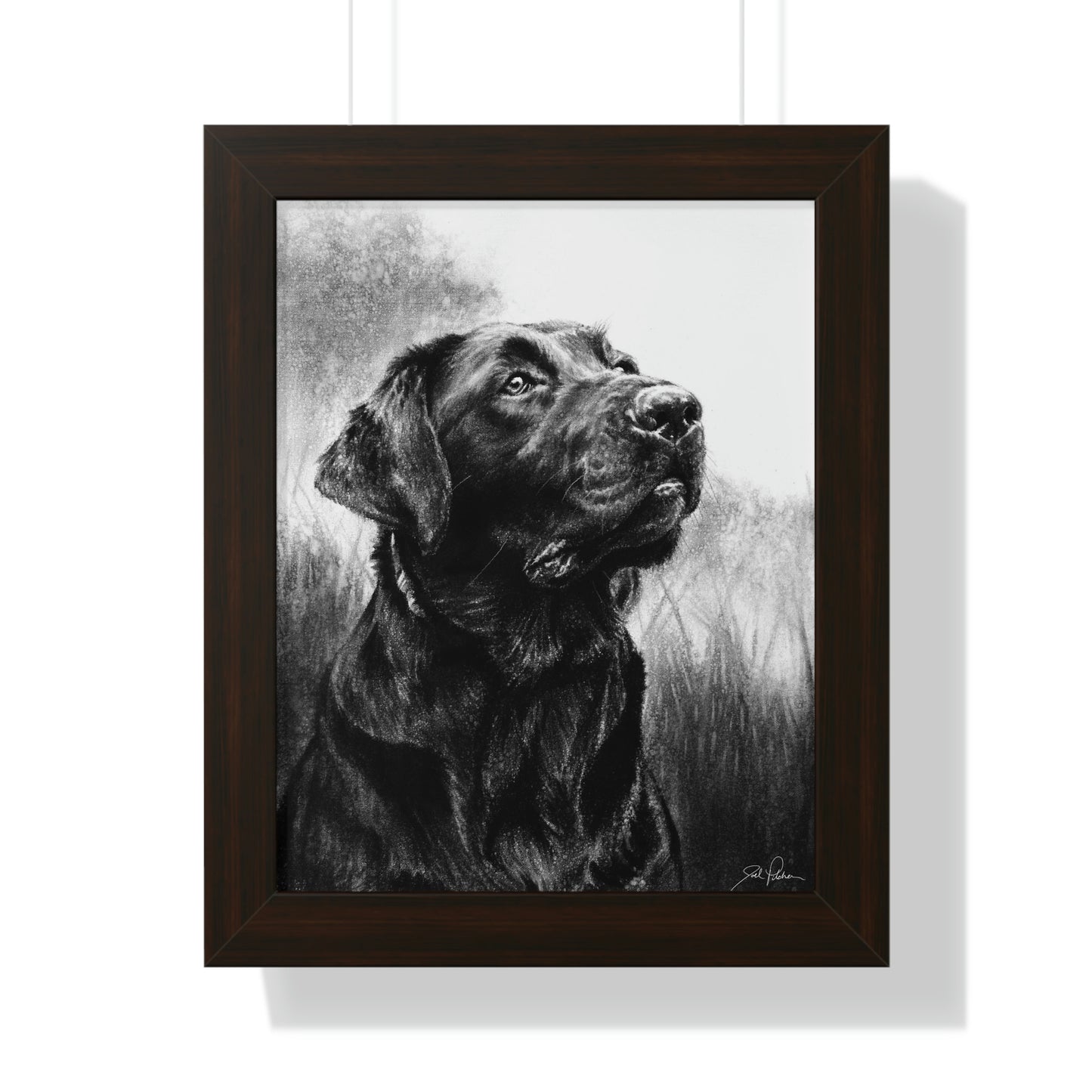 "Labrador" Framed Paper Print