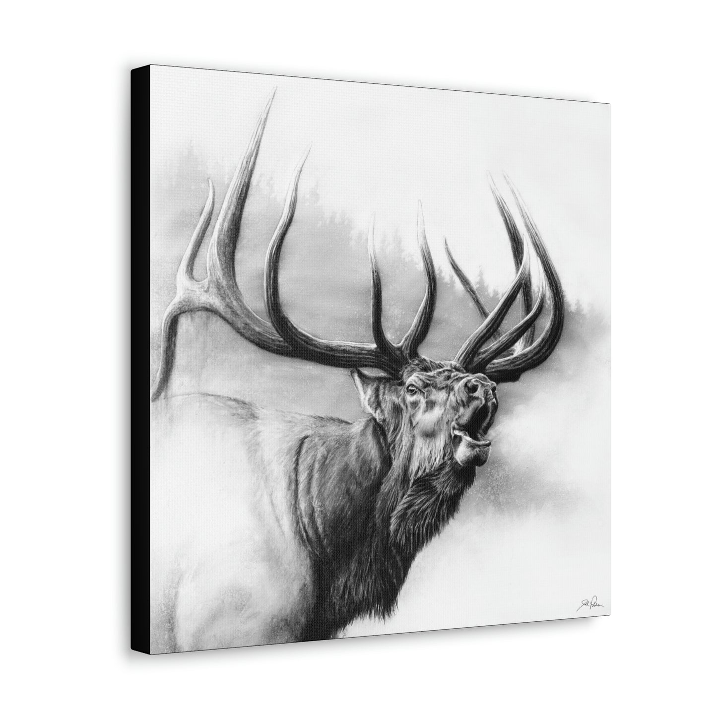 "Rocky Mountain King" Gallery Wrapped Canvas