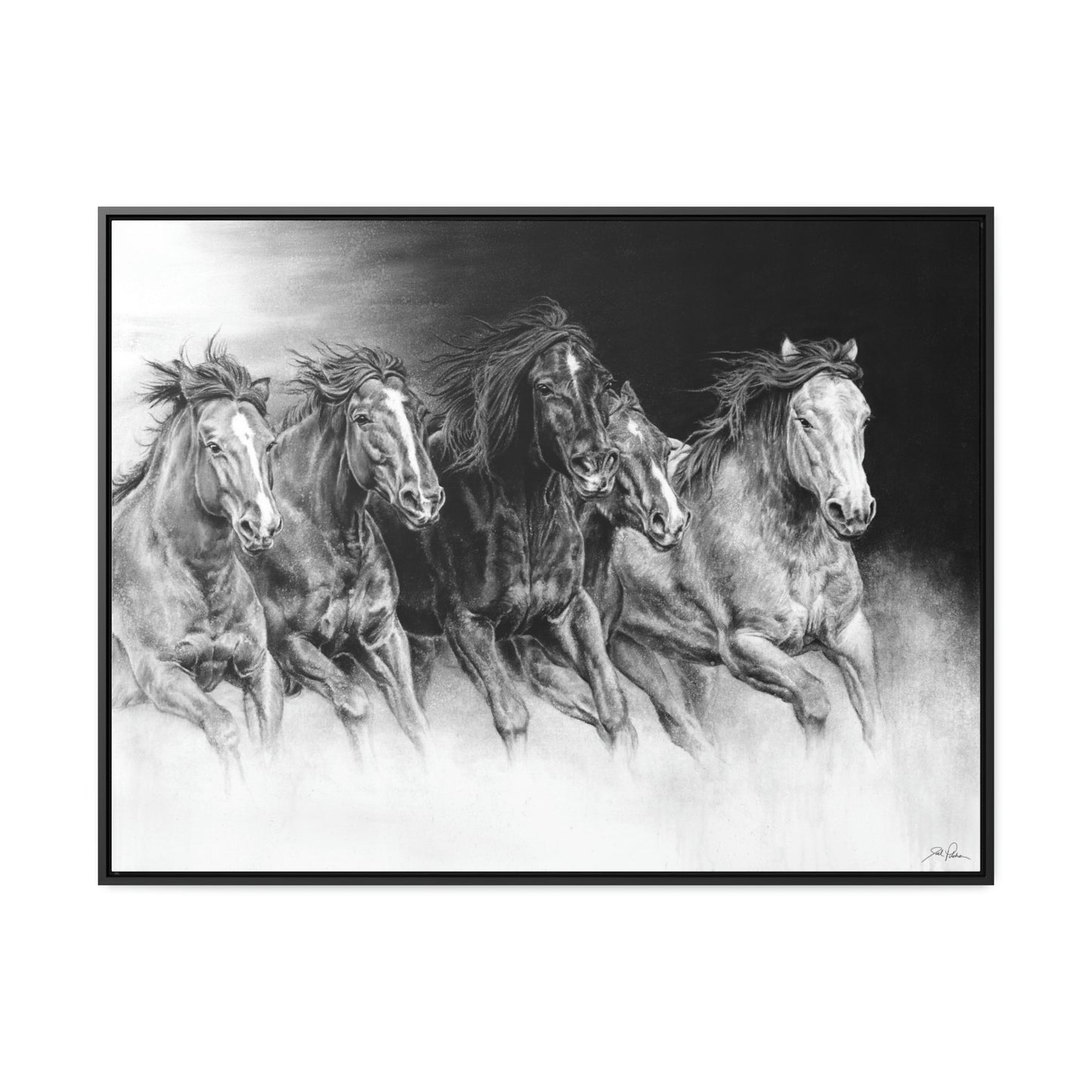 "Wild Bunch" Gallery Wrapped/Framed Canvas