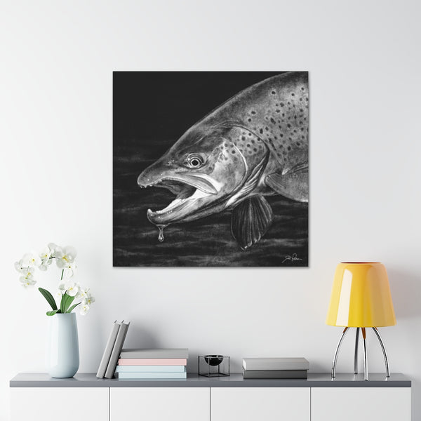 "Brown Trout" Gallery Wrapped Canvas