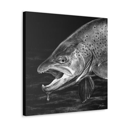 "Brown Trout" Gallery Wrapped Canvas