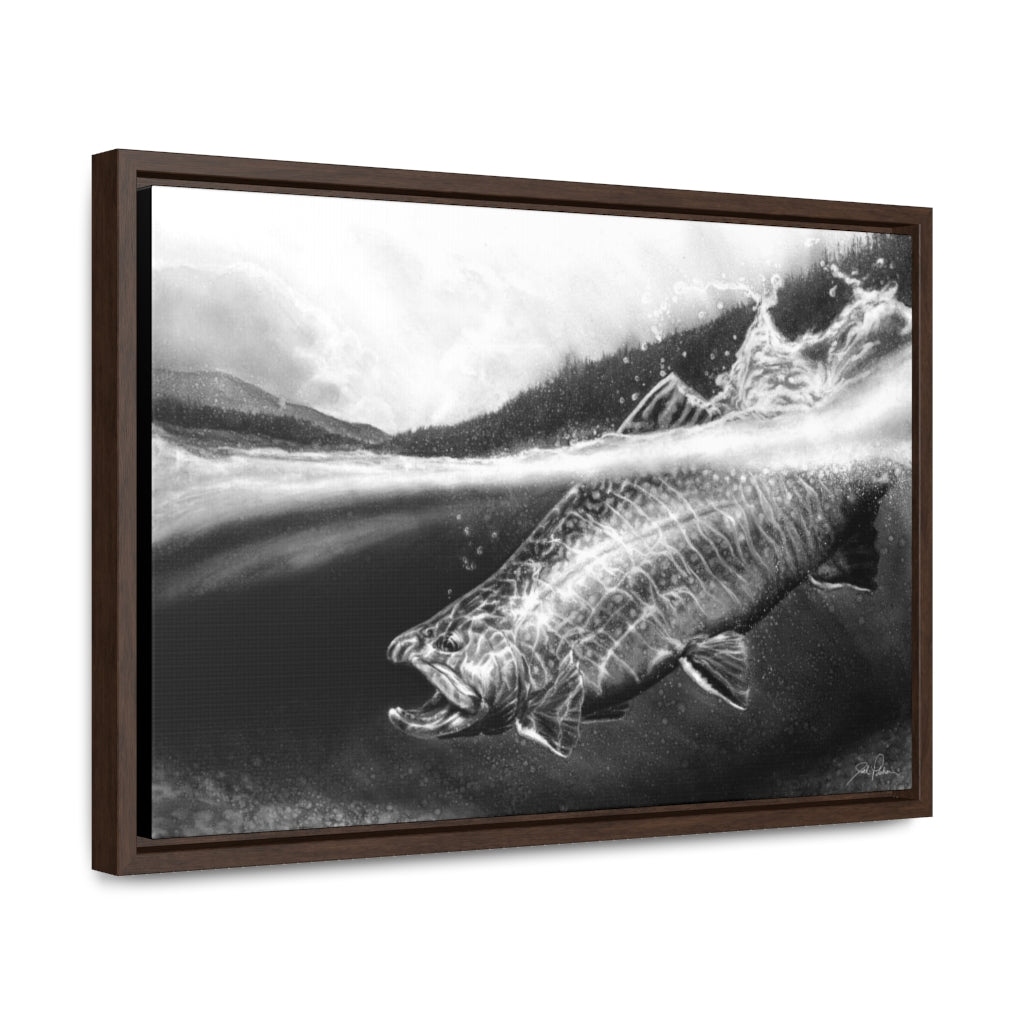 "Brook Trout" Gallery Wrapped/Framed Canvas