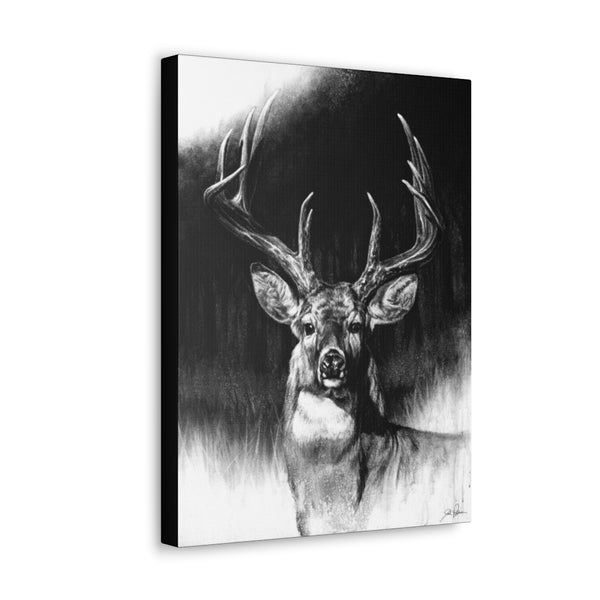 "Whitetail" Gallery Wrapped Canvas