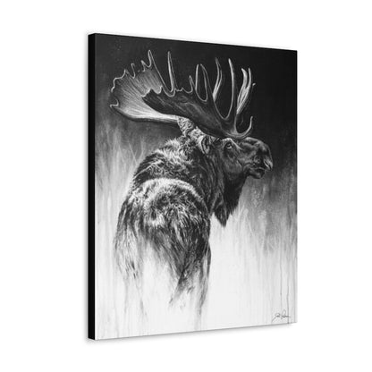 "Bull Moose" Gallery Wrapped Canvas