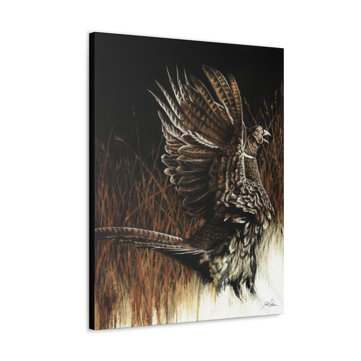 "Call of the Uplands Pheasant" Gallery Wrapped Canvas