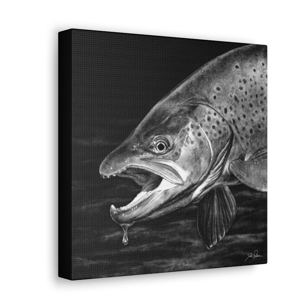 "Brown Trout" Gallery Wrapped Canvas