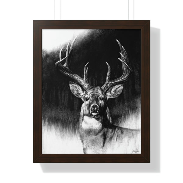"Whitetail" Framed Paper Print