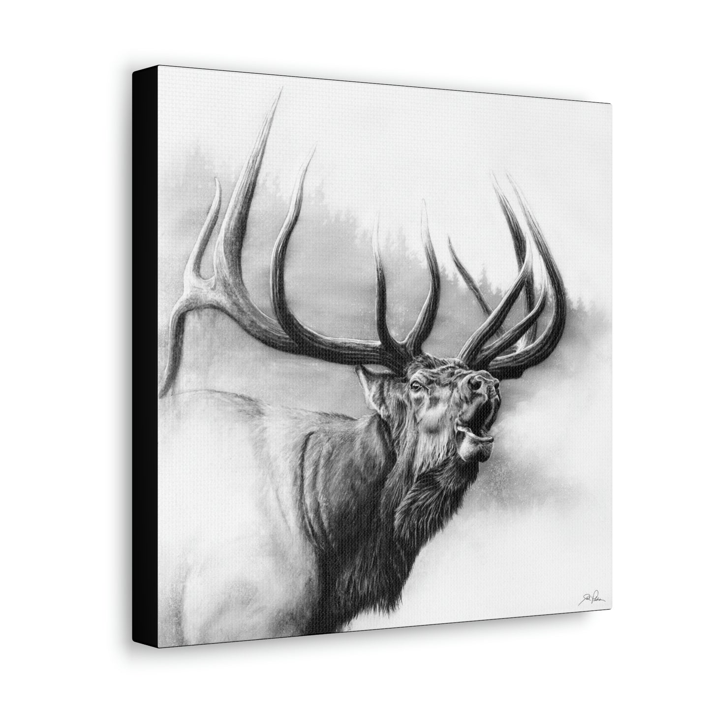 "Rocky Mountain King" Gallery Wrapped Canvas