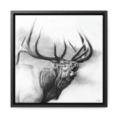 "Rocky Mountain King" Gallery Wrapped/Framed Canvas