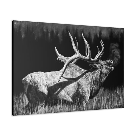 "Firebull" Gallery Wrapped Canvas