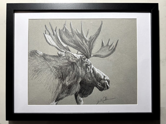 Original Moose Sketch II