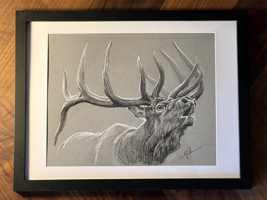 Original Elk Sketch V