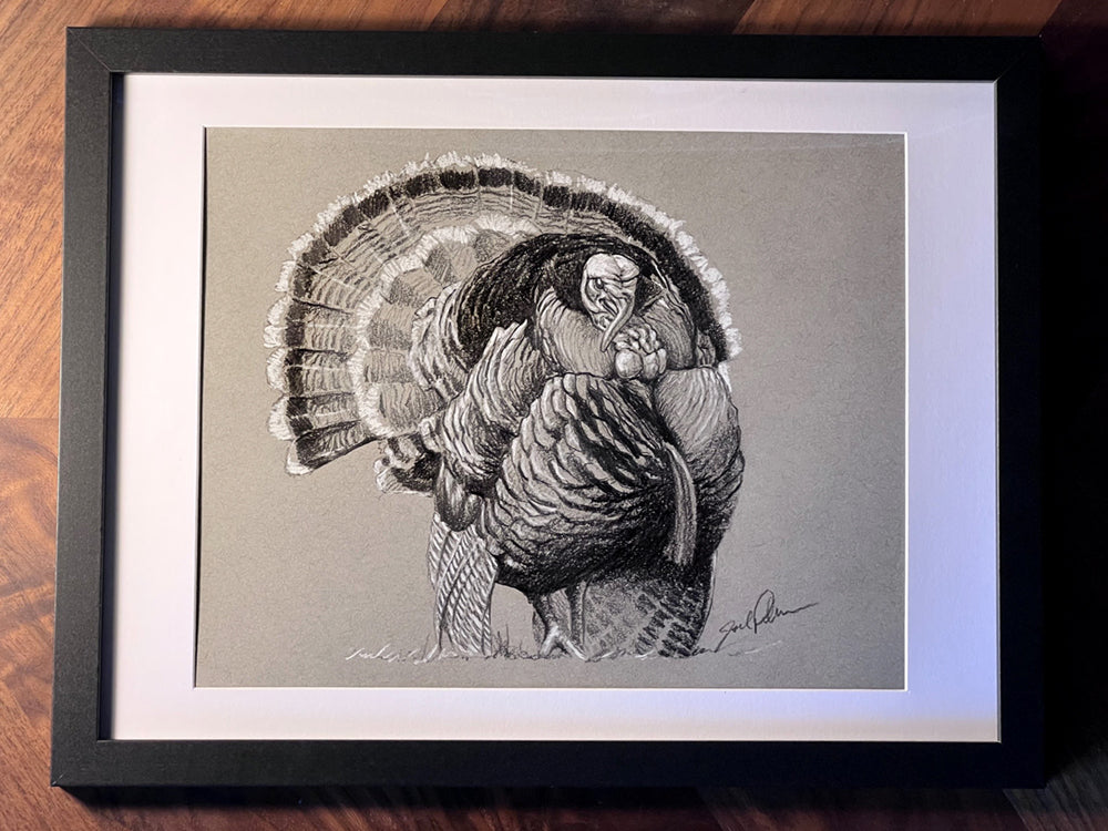 Original Turkey Sketch