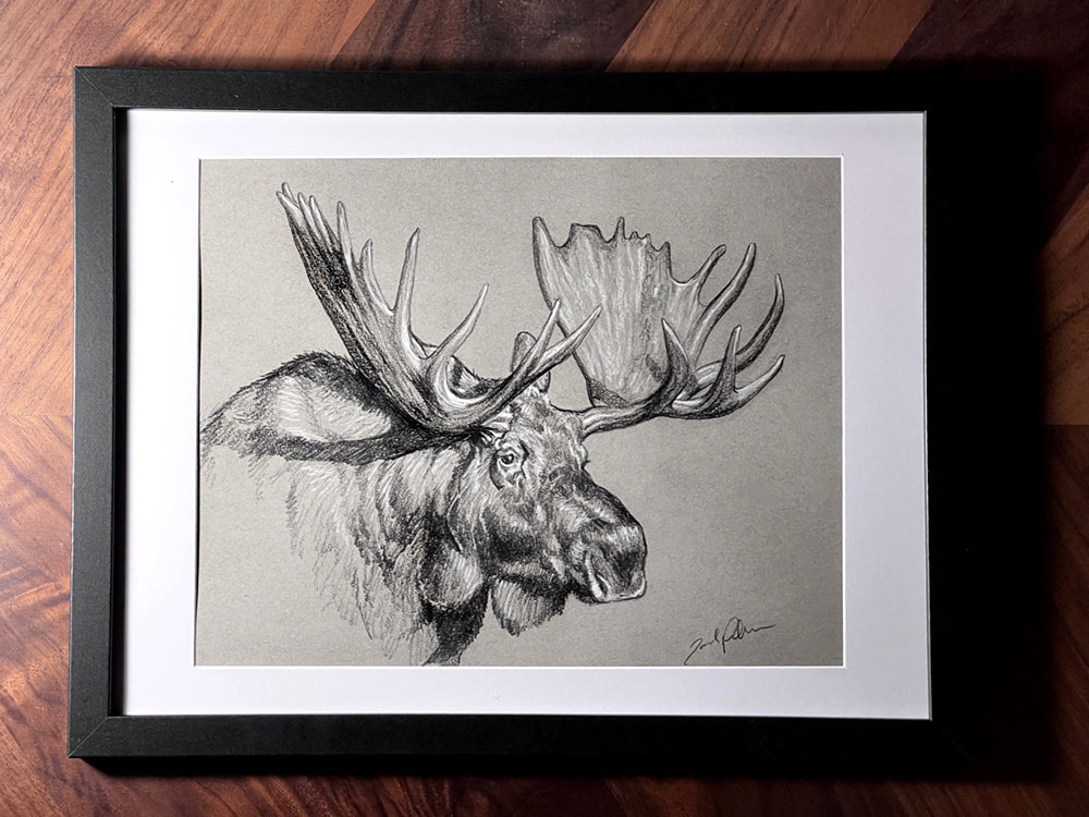 Original Moose Sketch III